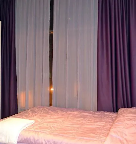 酒店 中央酒店 3*